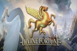 Divine Fortune Image