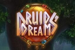 Bli med inn i en fredelig og fortryllende skog i spilleautomaten Druids’ Dream