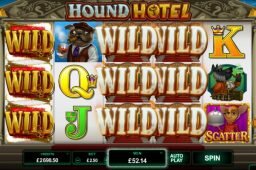 Hound Hotel Image